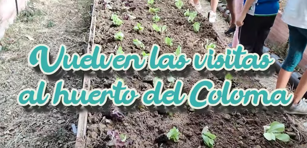 Visitas Huerto Escolar CEIP Julio Coloma