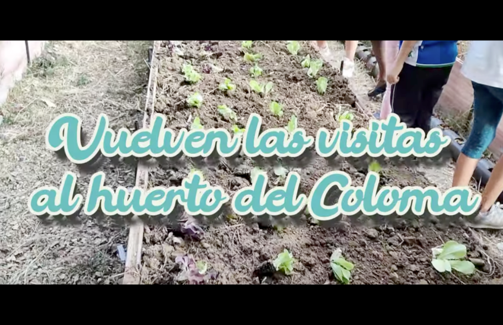 Vuelven las visitas al huerto escolar del Coloma